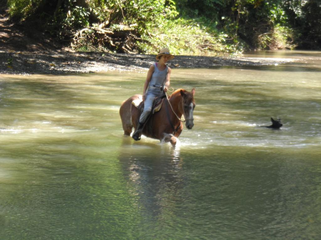 Fidelito Ranch & Lodge Tambor  Ngoại thất bức ảnh