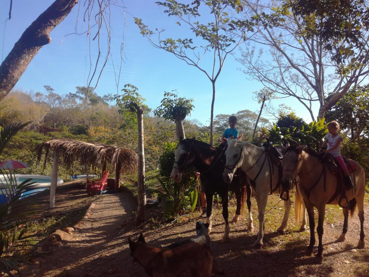 Fidelito Ranch & Lodge Tambor  Ngoại thất bức ảnh